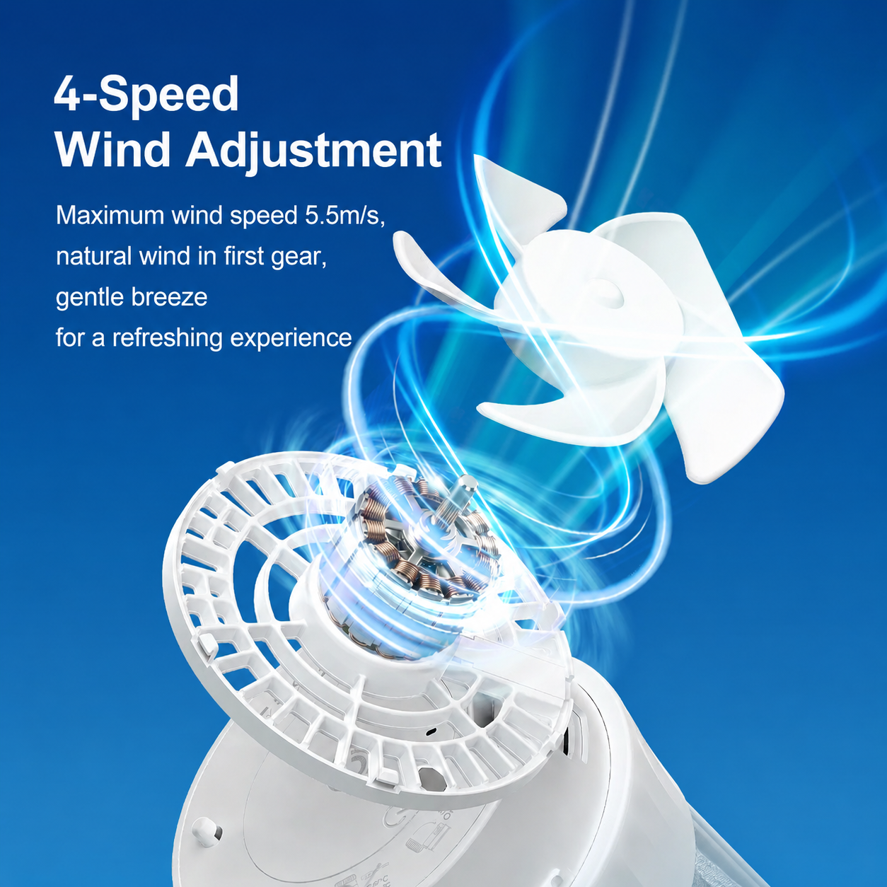 fan-shaped water (11)